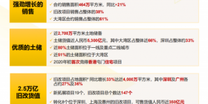 较2018年总收益同比增24.1%!佳兆业2019年财报公布