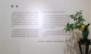 身有余闲，物尽清欢—— “器•像”卫恩青瓷生活美学展在京开展