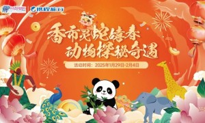 春节倒计时4天！新春双人特惠进火热在售，新春氛围感拉满的动物园就等你来！